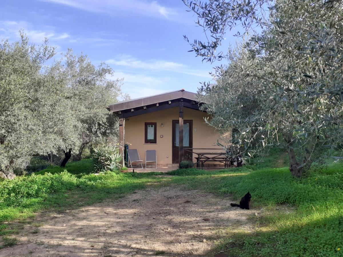 Agriturismo Terra Di Pace Noto Ngoại thất bức ảnh