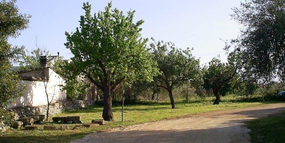 Agriturismo Terra Di Pace Noto Ngoại thất bức ảnh