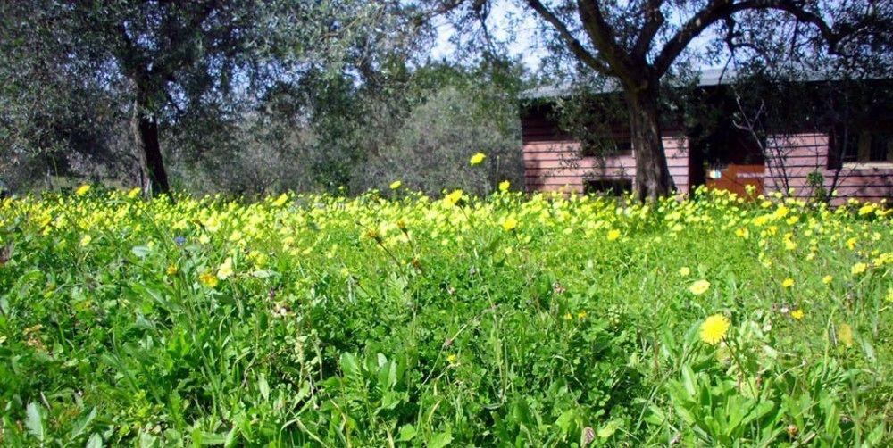 Agriturismo Terra Di Pace Noto Ngoại thất bức ảnh